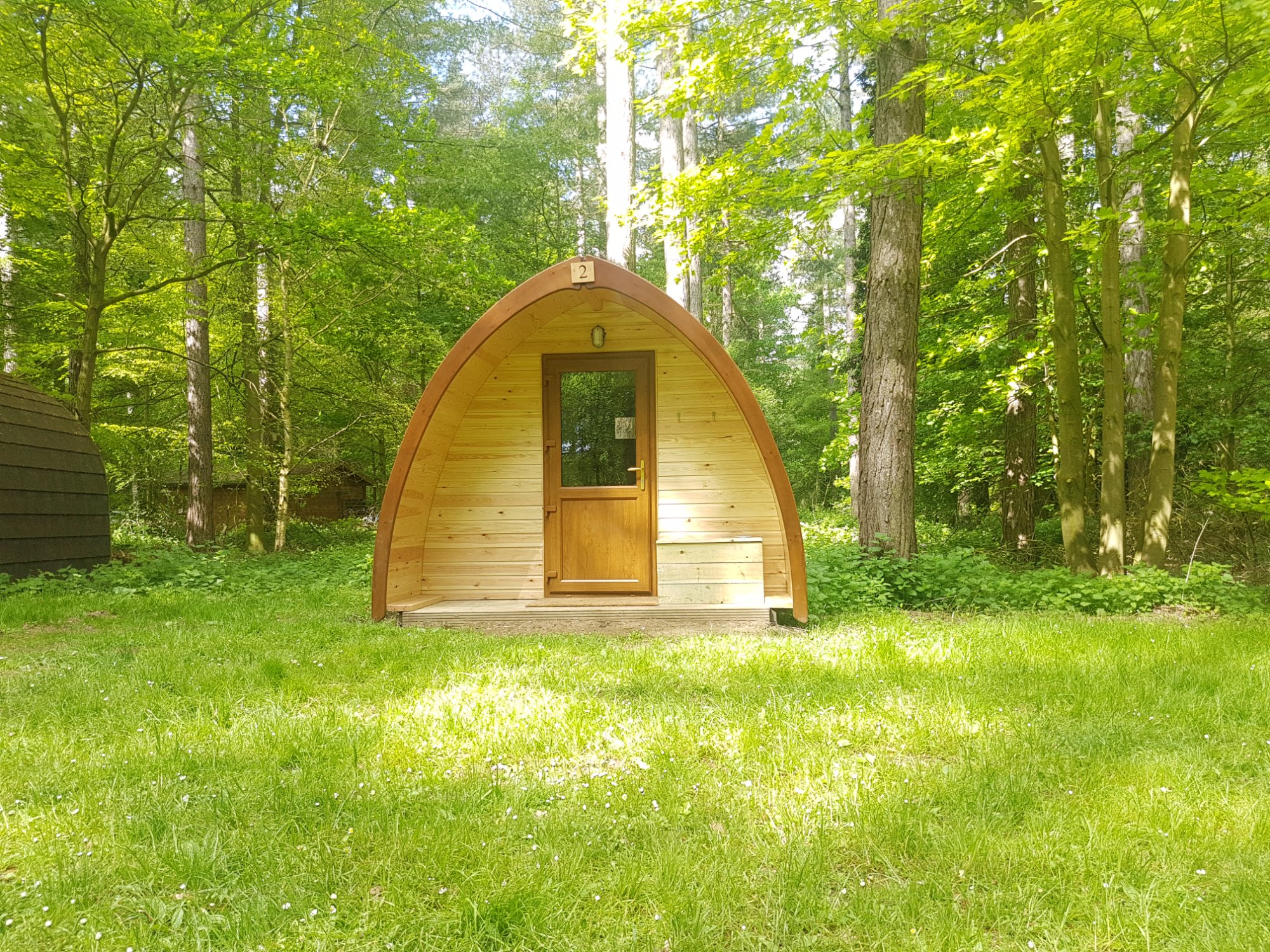 Single pod in woodland