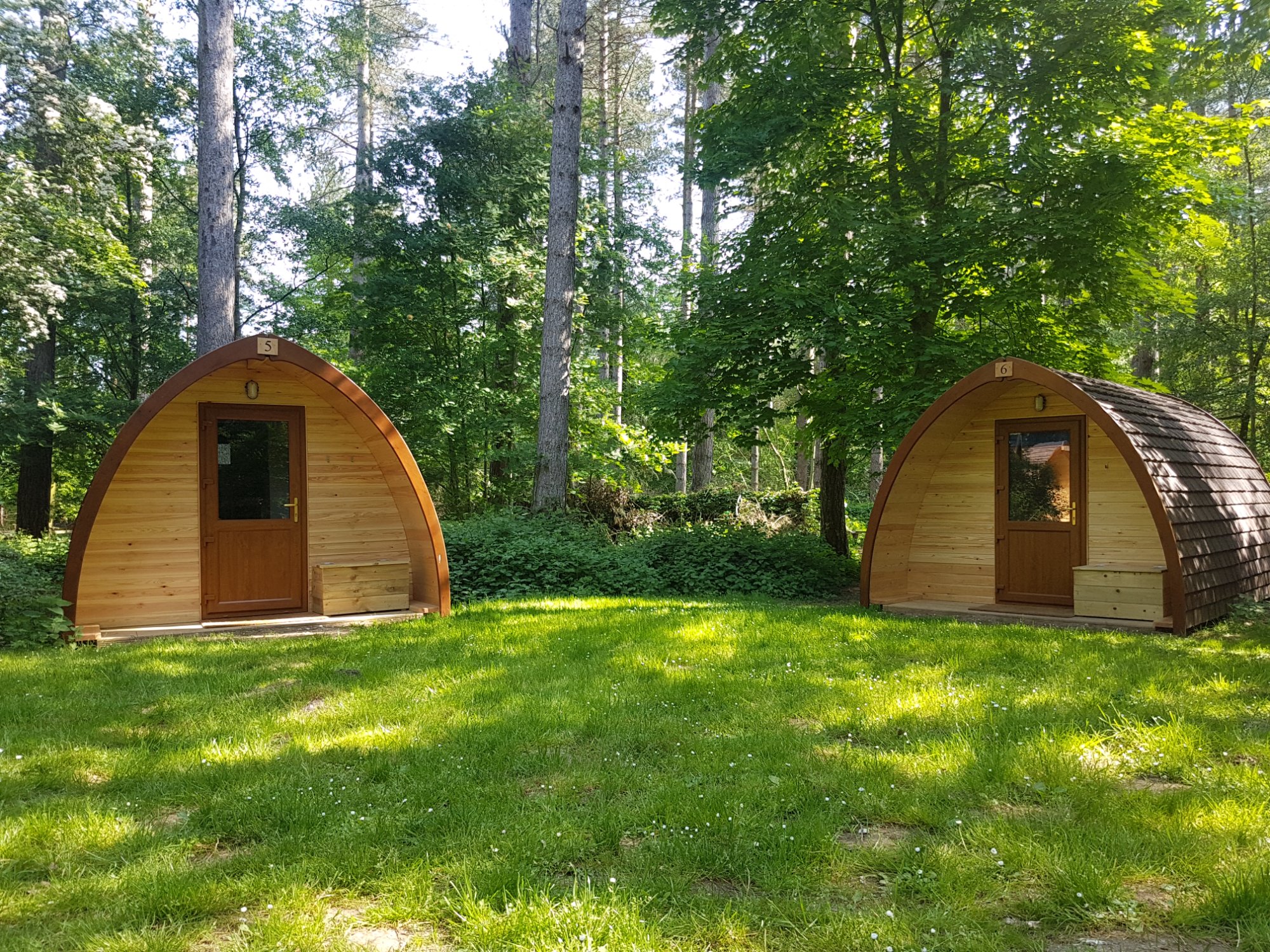 Oak Glade pods